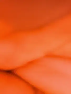 sassyishhu76 online show from 01/14/26, 02:42