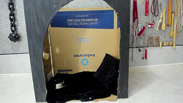 BDSM MEDUZA online show from 02/05/26, 11:28