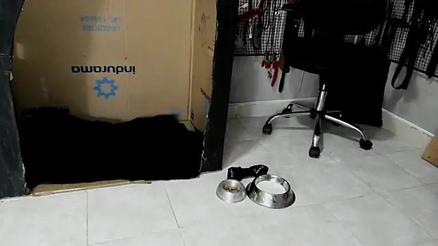 BDSM MEDUZA online show from 02/23/26, 03:30