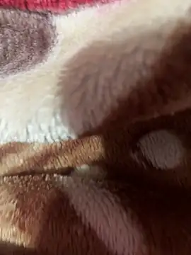 satisfyursoul online show from 11/26/25, 05:02