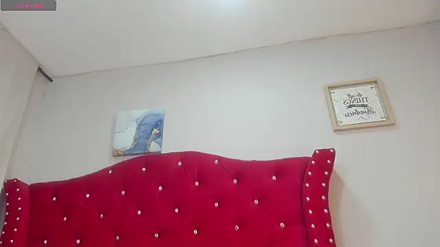 Snapshot of sky-ls chatting on 09/27/25, 02:01 sky-ls online show from 09/27/25, 02:01