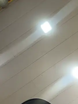 Snapshot of Noamilk chatting on 02/13/26, 08:31 Noamilk online show from 02/13/26, 08:31