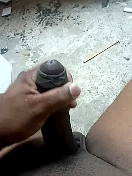 preto3561 online show from 11/17/25, 04:44