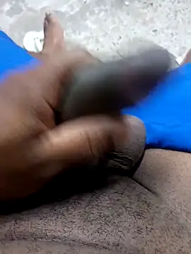 preto3561 online show from 02/10/26, 02:16