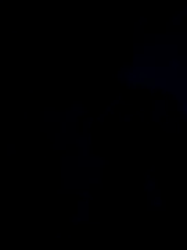 Sexi833 online show from 09/24/25, 02:18