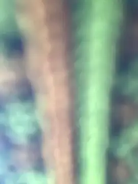 Snapshot of Halyy_xx chatting on 01/08/26, 06:52 Halyy xx online show from 01/08/26, 06:52