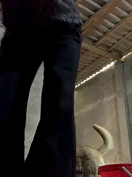 Snapshot of Halyy_xx chatting on 10/30/25, 04:55 Halyy xx online show from 10/30/25, 04:55