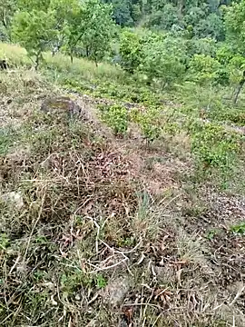 Snapshot of DICKLANKA chatting on 09/23/25, 08:32 DICKLANKA online show from 09/23/25, 08:32