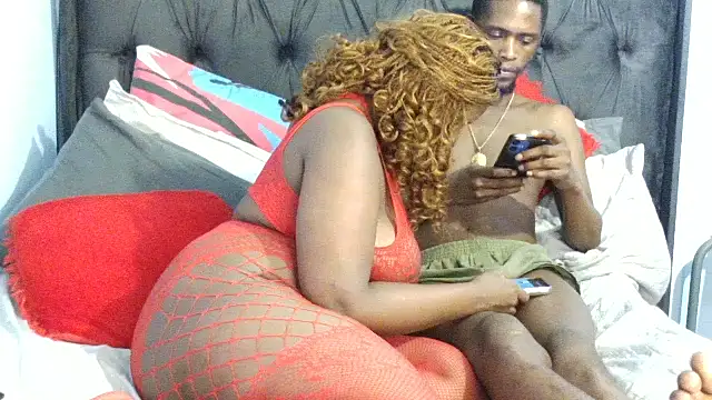 Dandelion enigman online show from 02/14/26, 11:38