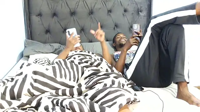 Dandelion enigman online show from 01/15/26, 11:13