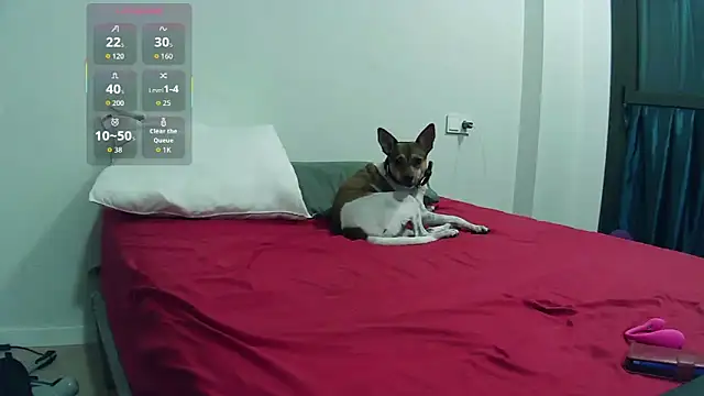 Catylandi1 online show from 11/14/25, 10:35