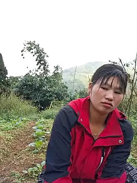 Snapshot of diamond-- chatting on 11/15/25, 01:31 diamond-- online show from 11/15/25, 01:31