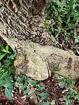 telugumodda4396 online show from 10/23/25, 06:34