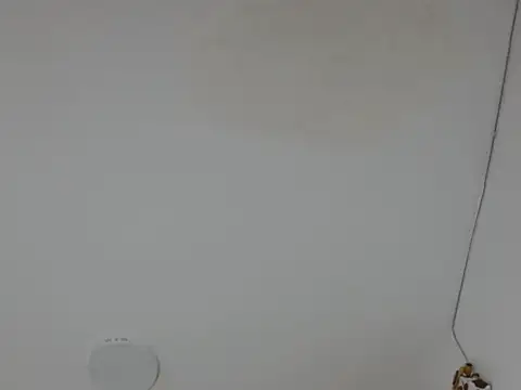 Alice pussyhairy online show from 10/02/25, 10:40