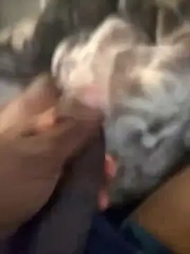 Blackveins32 online show from 11/04/25, 09:46