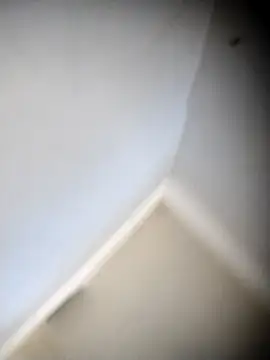  online show from 10/03/25, 02:59