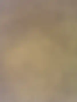 charlotteemerson123 online show from 11/29/25, 03:12