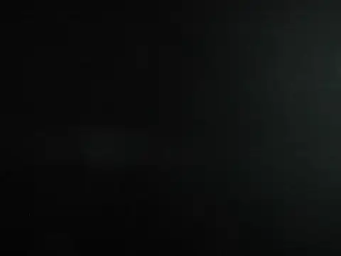 daniel leon online show from 11/23/25, 06:29