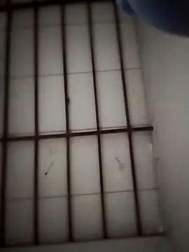 Yakpatiya7788 online show from 03/20/26, 05:03