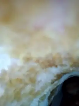 Snapshot of alone_boy802 chatting on 10/30/25, 06:23 alone boy802 online show from 10/30/25, 06:23