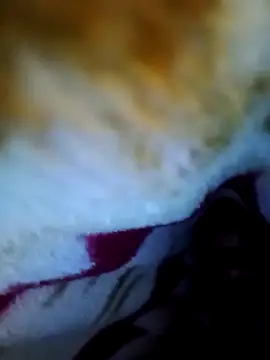 Snapshot of alone_boy802 chatting on 10/01/25, 06:01 alone boy802 online show from 10/01/25, 06:01