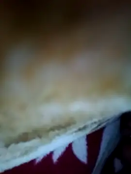 Snapshot of alone_boy802 chatting on 11/06/25, 04:22 alone boy802 online show from 11/06/25, 04:22