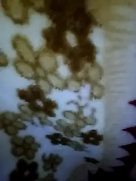 Snapshot of alone_boy802 chatting on 11/02/25, 08:19 alone boy802 online show from 11/02/25, 08:19