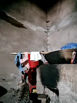 xuxulovezz online show from 02/12/26, 04:45