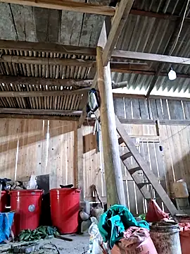 xuxulovezz online show from 04/04/26, 04:41