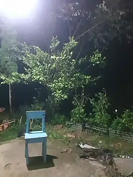 Helen-Tran online show from 11/11/25, 12:55