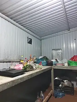 Helen-Tran online show from 11/28/25, 12:05