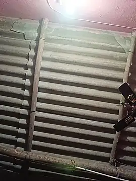 reya743 online show from 11/15/25, 10:19