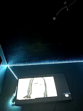 Painstickwes online show from 02/05/26, 09:54