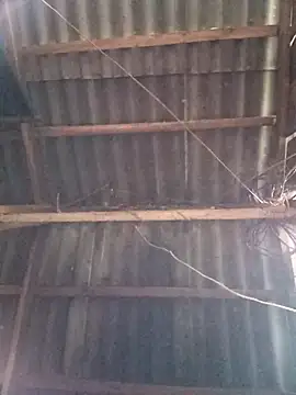 vtmbae online show from 11/02/25, 01:10