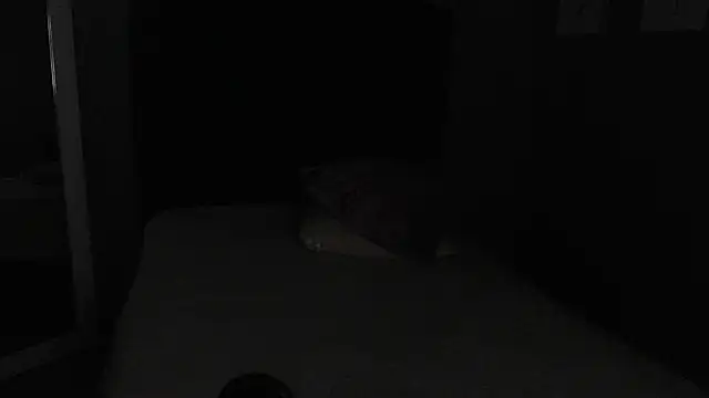 Vic Taylor online show from 11/07/25, 12:37