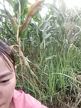 Meomeo-meo online show from 10/29/25, 01:04