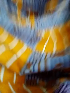 tamil Boomika online show from 12/23/25, 12:11