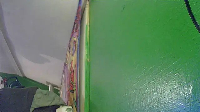 HippieDad333 online show from 11/11/25, 03:12