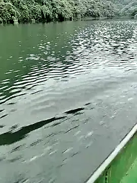 Lie liee online show from 10/24/25, 01:26