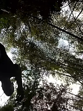 LucasGaeel online show from 04/05/26, 08:37