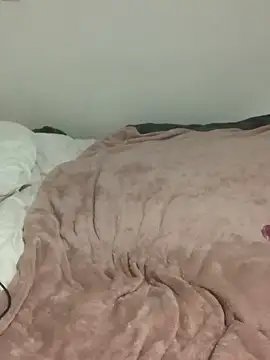 june cat online show from 10/29/25, 07:57