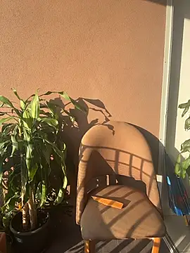 itsdanividarte online show from 11/11/25, 09:42