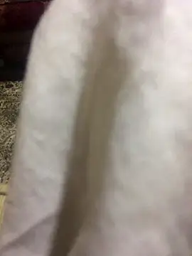 Yassesexy online show from 10/04/25, 12:23