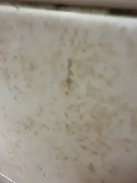 Bryan 1111 online show from 11/04/25, 12:09