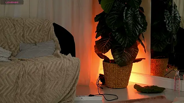 EvaAmanti online show from 01/11/26, 04:41