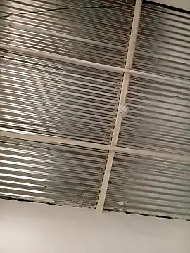 kingbickcockDn online show from 11/23/25, 05:34