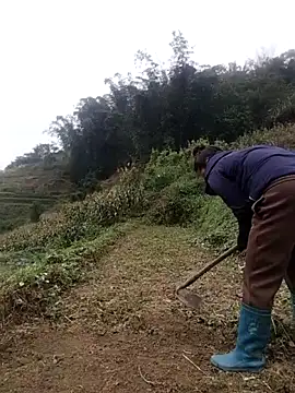 Snapshot of zhen-zo chatting on 10/31/25, 02:19 zhen-zo online show from 10/31/25, 02:19