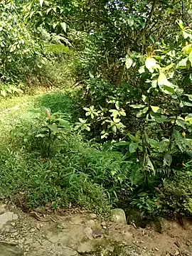 nhinhi-sexy online show from 10/10/25, 05:52