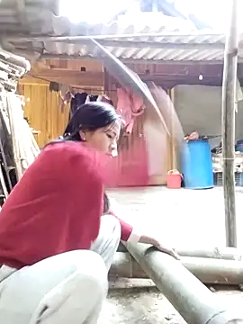 lmc-zz online show from 11/30/25, 02:56