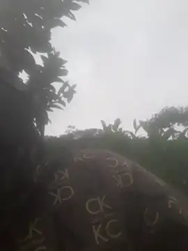 Snapshot of bree-zz chatting on 11/13/25, 12:47 bree-zz online show from 11/13/25, 12:47